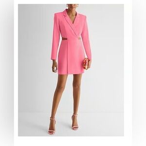 Express Vibrant Pink Long Sleeve Dress